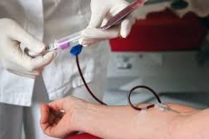 Más de 30 casos de cáncer de la sangre por día en Argentina