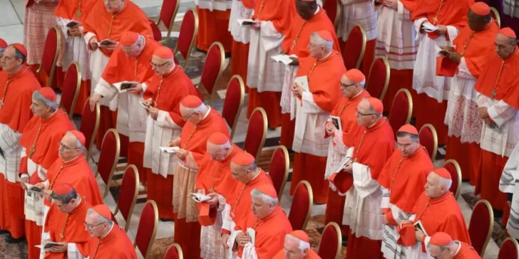 Confirman que el cónclave para elegir al nuevo papa romperá un récord de diversidad geográfica Confirman que el cónclave para elegir al nuevo papa romperá un récord de diversidad geográfica