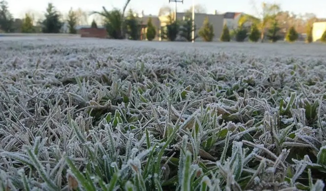Con una temperatura de -2,5°, se registró la primera helada del año en San Juan Con una temperatura de -2,5°, se registró la primera helada del año en San Juan