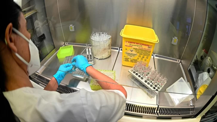 La Justicia allana los laboratorios vinculados a la fabricación de fentanilo contaminado que produjo 9 muertes