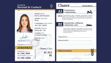 licencia-conducir-online-argentina-728x410