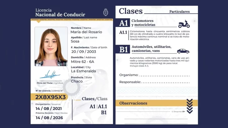 licencia-conducir-online-argentina-728x410