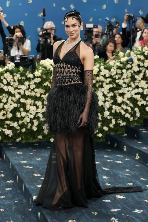 met-gala-2025-8-485x728