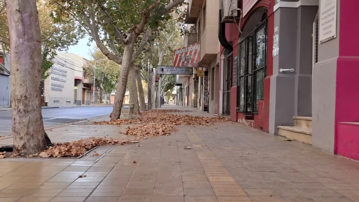 Alerta naranja por viento en San Juan con ráfagas de hasta 100 km: ¿habrá clases en el turno vespertino?