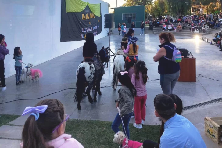 Los niños se encargarán de elegir a las mascotas más encantadoras