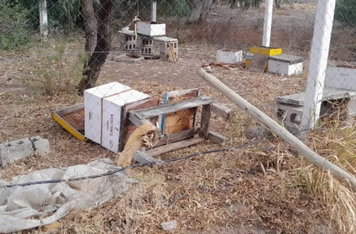 Denuncian destrozos en el campo didáctico de la Escuela de Enología Denuncian destrozos en el campo didáctico de la Escuela de Enología