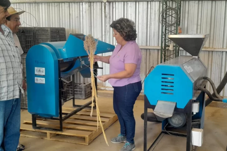 El INTA fue clave en mejoras de olivos, cannabis y quínoa y se enfoca en la crisis hídrica