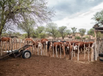 DCC220625-003F02-728x538