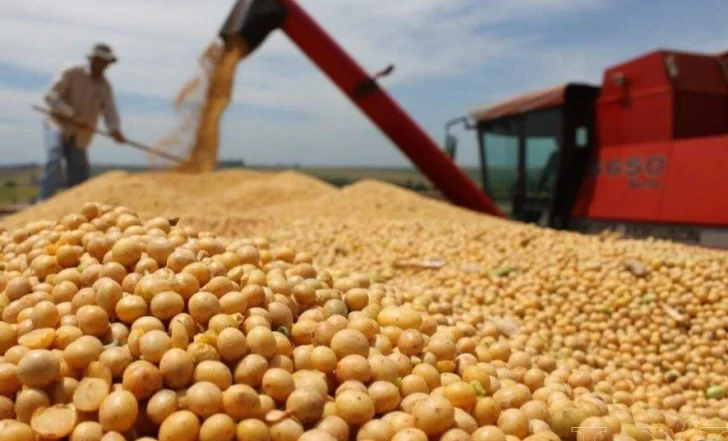 Vuelven las retenciones altas para soja y girasol
