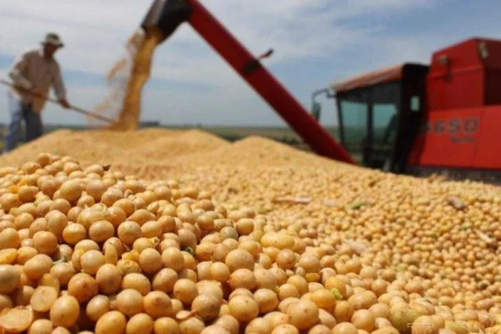 Vuelven las retenciones altas para soja y girasol