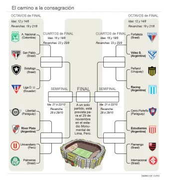 Infografia-pagina-22-web-686x728