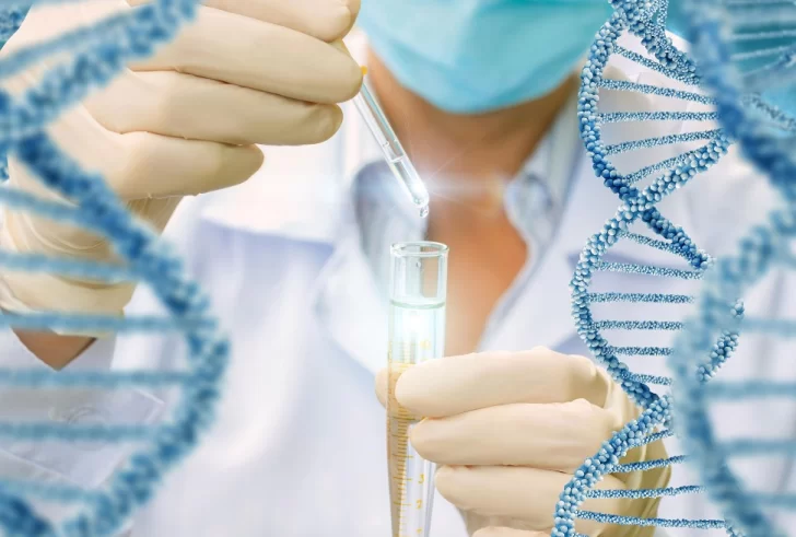 Descubren cuál es la enfermedad autoinmune que provoca envejecimiento rápido en niños