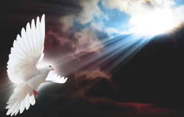 El Espíritu nos da la Verdad