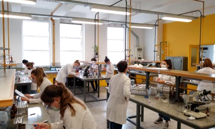 Seis de siete universidades argentinas cayeron en un ranking mundial por bajo desempeño en investigación