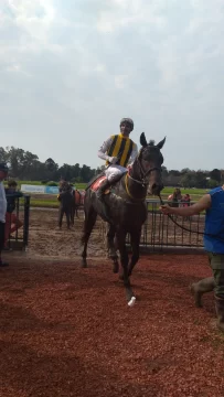 WhatsApp-Image-2025-05-21-at-1.58.43-PM-410x728