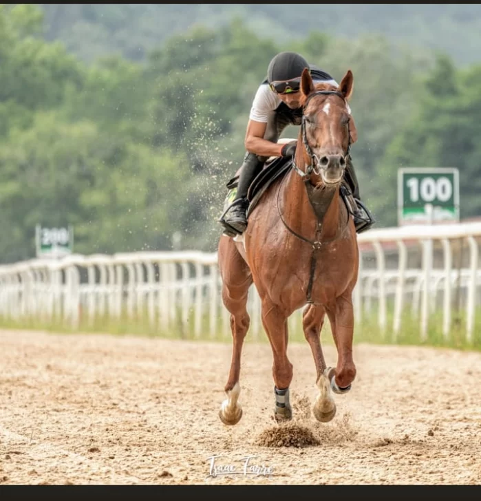 WhatsApp-Image-2025-05-21-at-2.20.57-PM-1-699x728