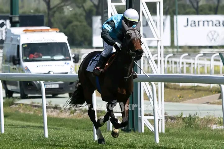 WhatsApp-Image-2025-05-21-at-2.20.57-PM