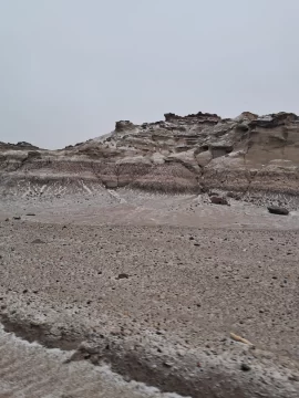 WhatsApp-Image-2025-06-29-at-5.25.35-PM-1-546x728