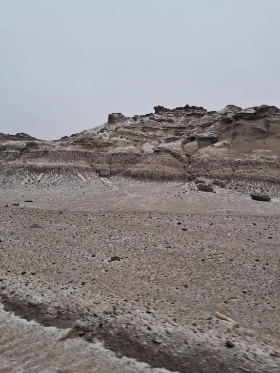 WhatsApp-Image-2025-06-29-at-5.25.35-PM-1-546x728