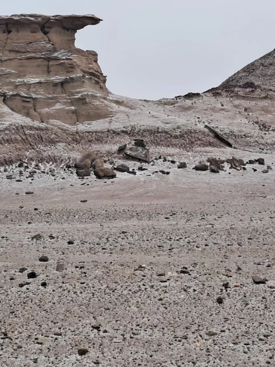 [VIDEOS] Se congelaron las pasarelas en Ischigualasto
