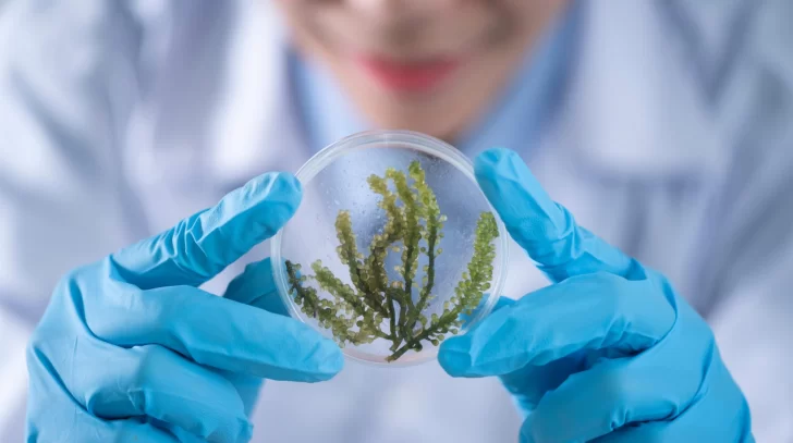 Comprometidos con la vida