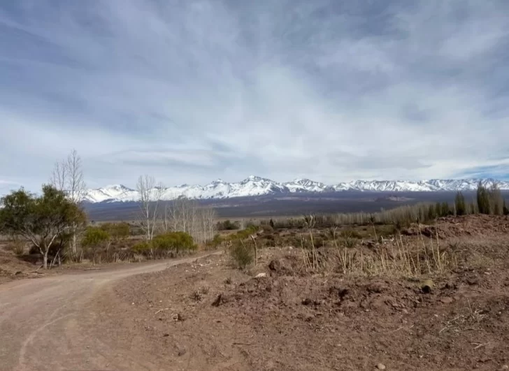 San Juan bajo cero: en Barreal se registró la temperatura más baja San Juan bajo cero: en Barreal se registró la temperatura más baja