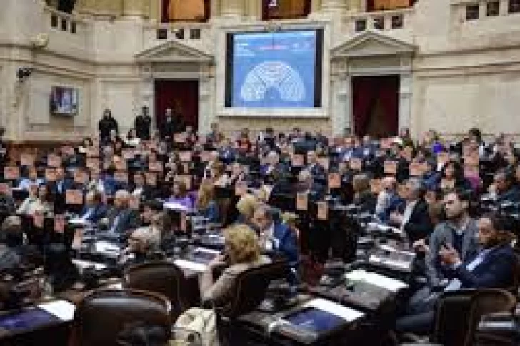 Diputados buscará hoy salvar las leyes sancionadas que vetó Milei
