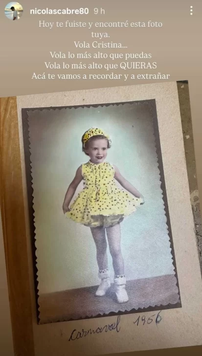 e9cb94da-0ac2-4a51-b352-54d550f4fc74-413x728