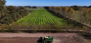 El Gobierno dispuso la suba de las retenciones a la soja y el maíz desde el 1 de julio El Gobierno dispuso la suba de las retenciones a la soja y el maíz desde el 1 de julio