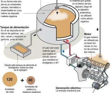 Invertirán 7,2 millones de dólares para generar energía con desechos que producen los animales Invertirán 7,2 millones de dólares para generar energía con desechos que producen los animales