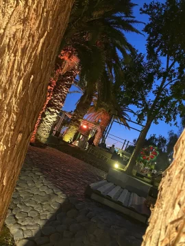 4f2bd423-4d72-435d-a1c2-f4ecf71aab35-546x728