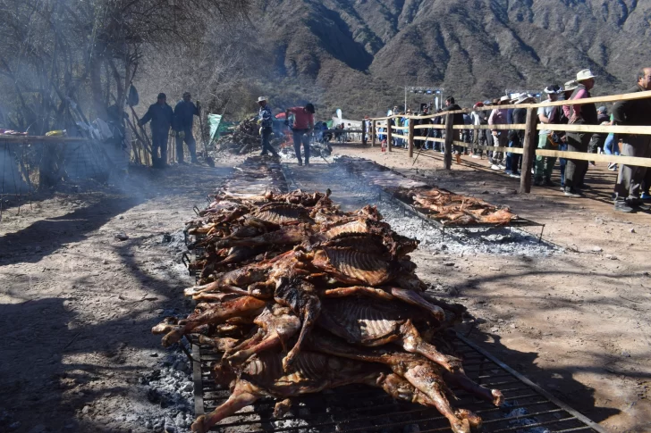 522232028_1166547742166847_5644830150946549191_n-728x485