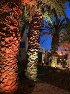 7b2cba2b-f47b-4fc0-ac68-6bb9128ce888-546x728