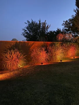 7eae7191-14e7-4580-b370-785bdaf53fc7-546x728