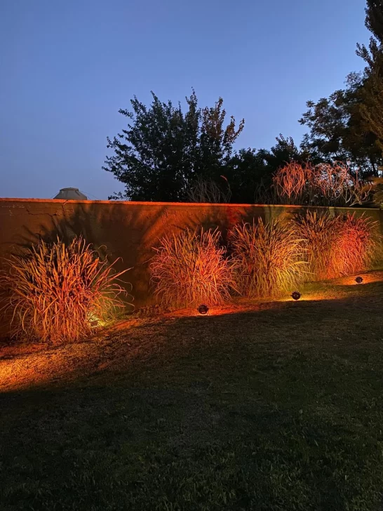 7eae7191-14e7-4580-b370-785bdaf53fc7-546x728