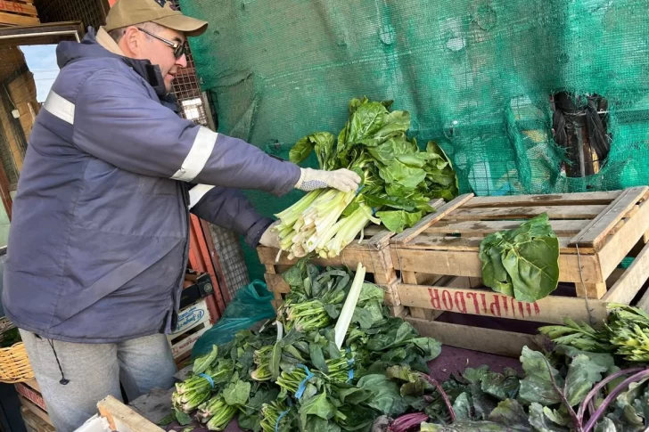 El frío polar afectó la producción en las chacras, pero no hizo aumentar los precios