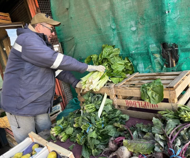 El frío polar afectó la producción en las chacras, pero no hizo aumentar los precios