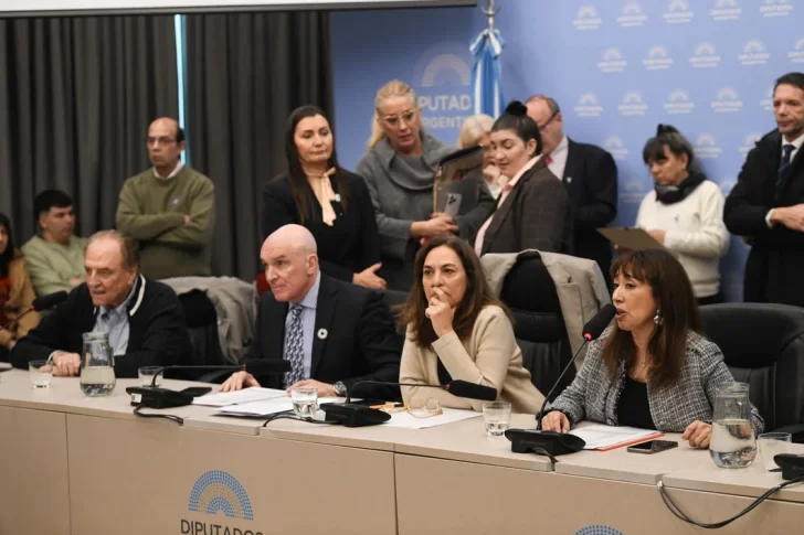 A puro dictamen atan al Gobierno en Diputados