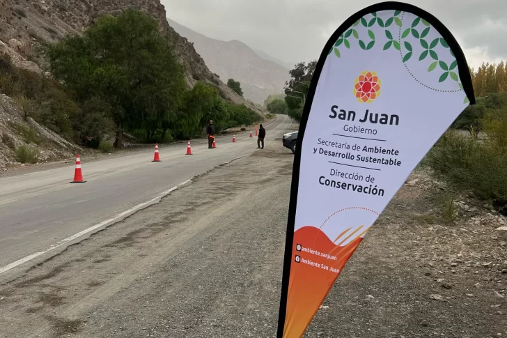 Lanzarán una app para avisar dónde hay fauna atropellada, ir al rescate y mejorar la prevención