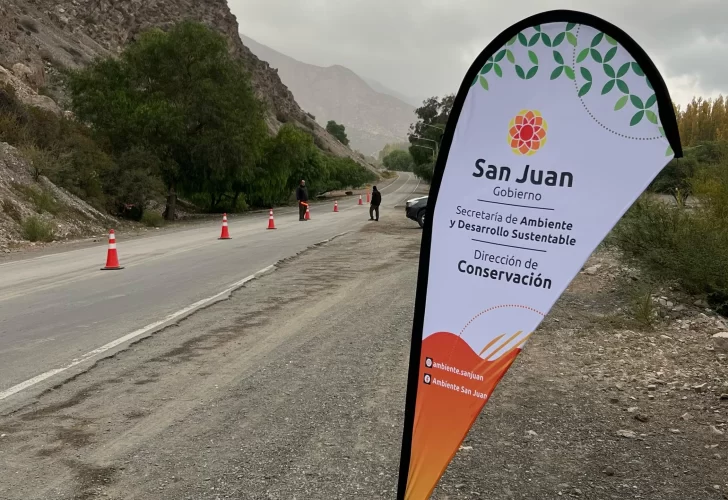 Lanzarán una app para avisar dónde hay fauna atropellada, ir al rescate y mejorar la prevención