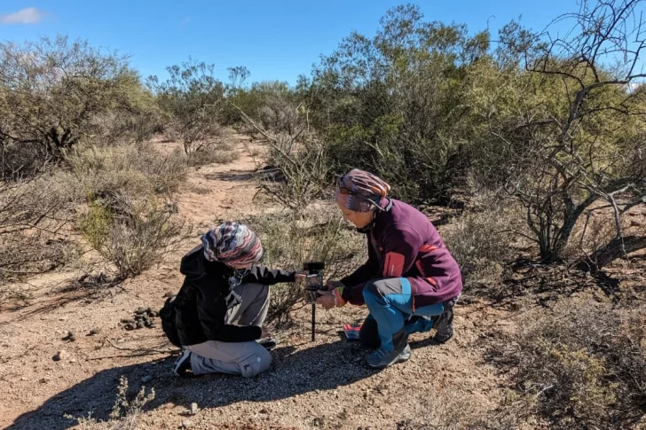 DCC140725-003F03-728x485