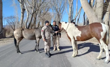 DCC150725-002F07-728x441