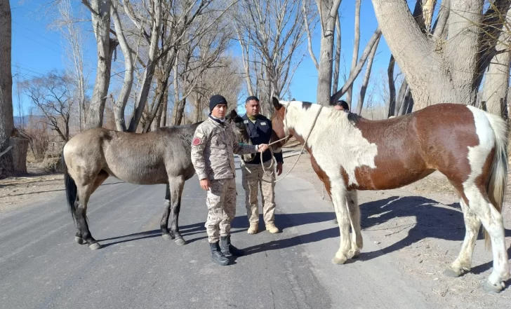 DCC150725-002F07-728x441