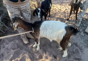 DCC150725-003F02-728x506