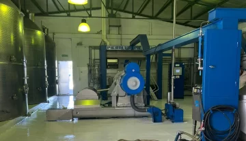 Esperan a unos 250 productores de oliva para definir estrategias en la industria local