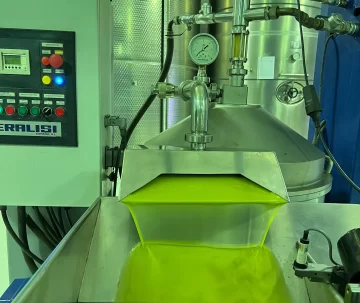 DCC180725-003F02-728x613