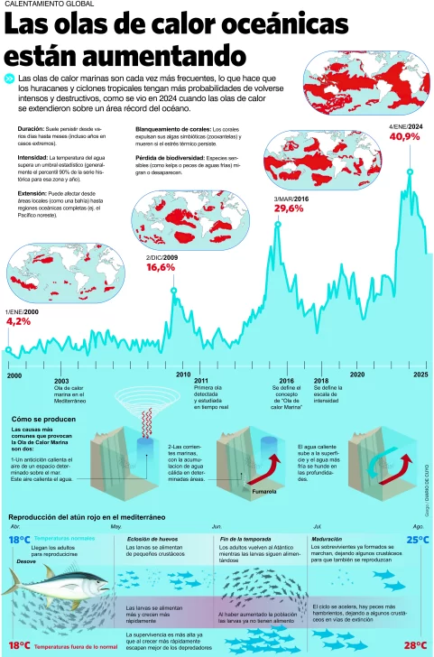 DCC190725-007F01-481x728