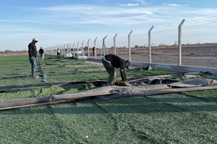 El primer complejo deportivo de 25 de Mayo tiene 40% de avance de obra