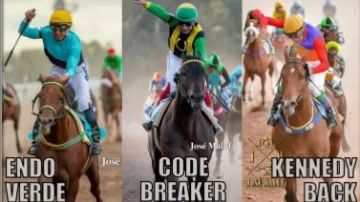 Endo Verde es favorito