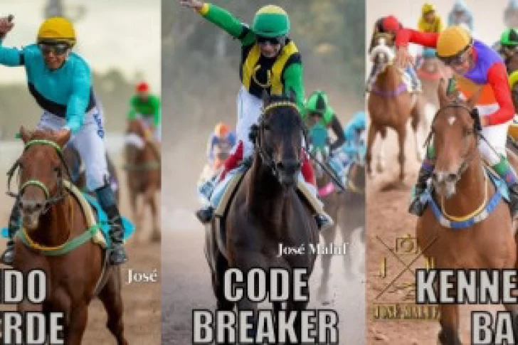 Endo Verde es favorito